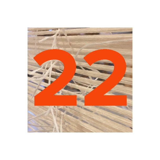 8522 Forny medlemskab 2022